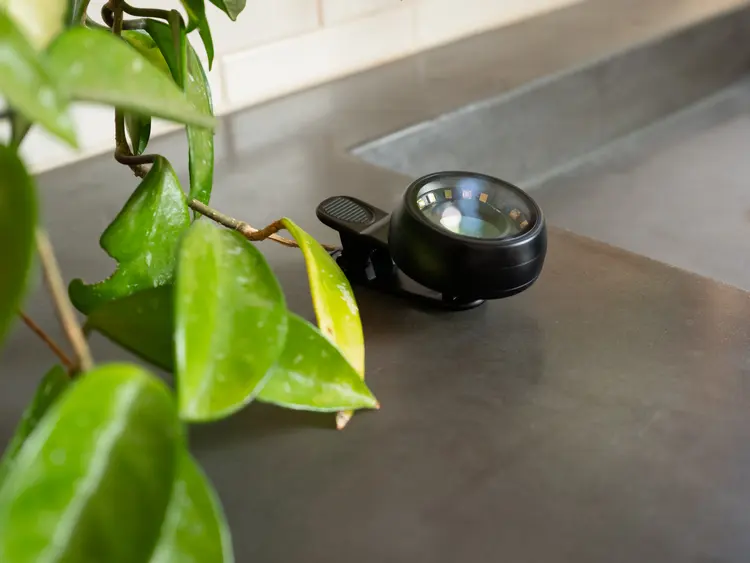 The Lumoscope resting on a concrete bathroom counter beside the sink, plant leaves in the foreground.